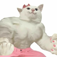 mèo à lôi :))) 👾