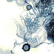 phượng hoàng ánh sáng - ánh sáng
