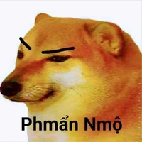 All tất cả (trừ những người cần trừ) 