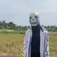 Error 404 sans