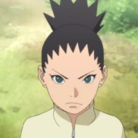 shikadai