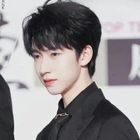 Hạ Tuấn Lâm (anh)