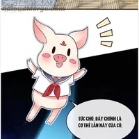 [102] mao mao