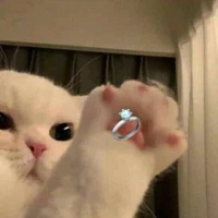 (6 thành viên nhà Bão🌀 )