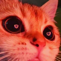 All 