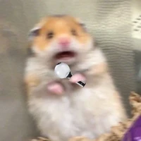 Tác giả cuto👽