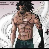 Monkey D Dragon