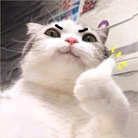 Au siêng năng chăm chỉ
