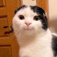 mình nò🐾