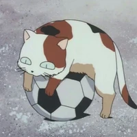 Buyo