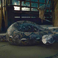 Nagini