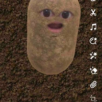 Tg răm mận s1tg=))