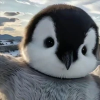 Tác Giả-Cánh cụt🐧