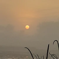 5 đứa trẻ