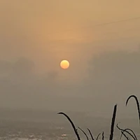 5 đứa trẻ