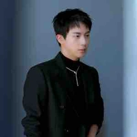 Kim Seokjin (Jin)