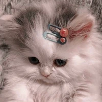 iE
