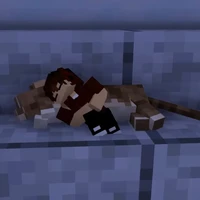 din