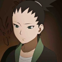 Nara Shikadai
