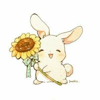 Hệ Thống R-001 (Fujiko)