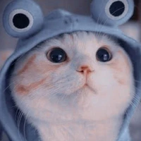 nhỏ tác giả