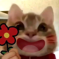 All