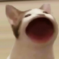 Nvp