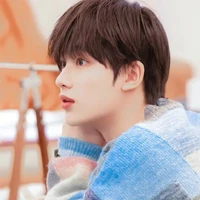 Đinh Trình Hâm