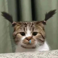 Tác giả siuuu hướng nộii