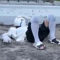 alpha