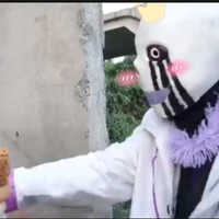 error 505