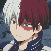 Shoto Todoroki