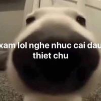 T khong phai Tac Gia, T la tac gia