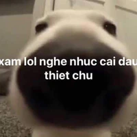 T khong phai Tac Gia, T la tac gia