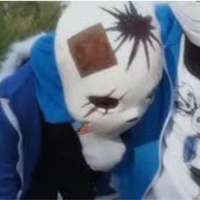 Mix Sans[ mix sì sans]