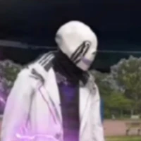 error sans 505