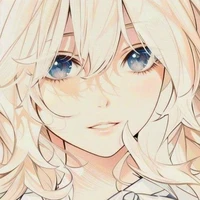 Y/N