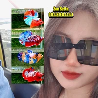 SunDilys (Tác Giả)