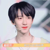 Hạ Tuấn Lâm