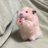 Lạc Lạc 🍮🌷