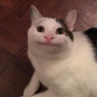 Kami