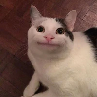 Kami