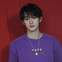 Đinh Trình Hâm_Dinh ChengXin