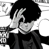 Niko Ikki 