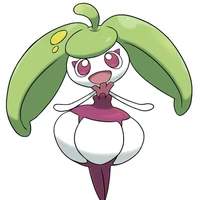 Amamaiko / Mao
