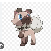 Iwanko / Satoshi