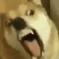 Quần chúng nhân dân