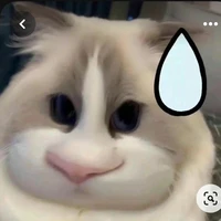 T/g viết 🐥 lém