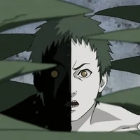zetsu