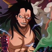 Monkey D Dragon